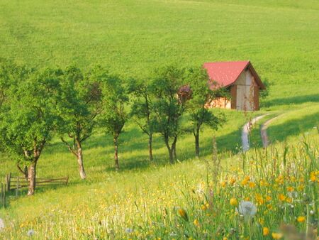 Karlstal - Streubobstwiese