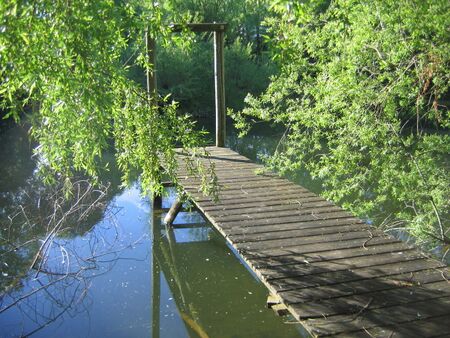 Steg am Steinschaler Teich