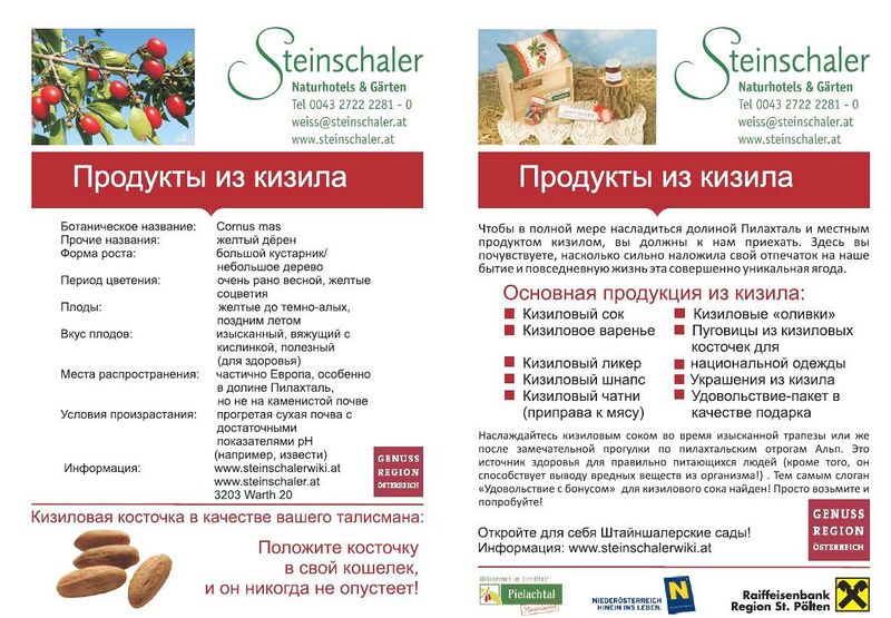 Datei:Dirndlkern russisch.jpg