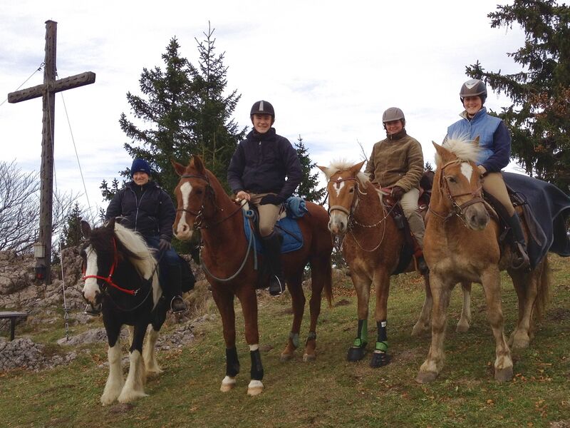 Datei:EST Pferde Okt2012.jpg