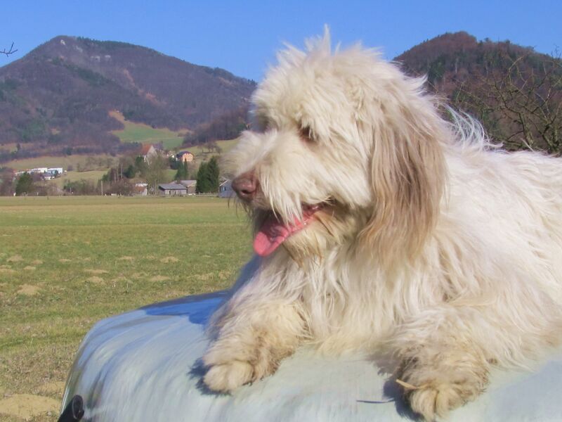 Datei:Paula am Ballen.jpg