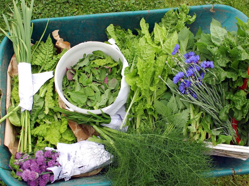 Datei:SG Erntescheibtruhe.jpg