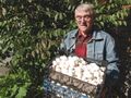 SK-Weissenabacher Champignon.jpg