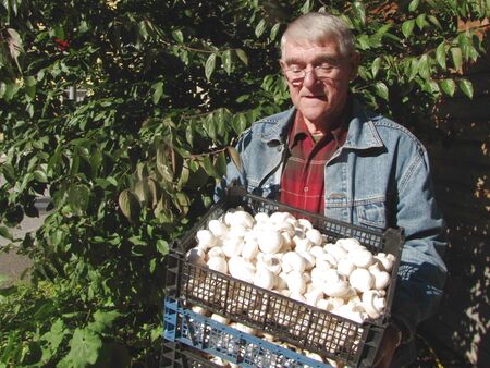 Weissenabacher Champignonlieferung