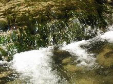 Soiserbach6 Sommer 2009.jpg