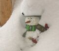 Schneemann im Schnee 09.jpg