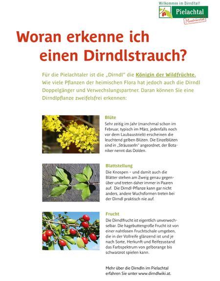 Dirndl-Schild am Dirndlsteig