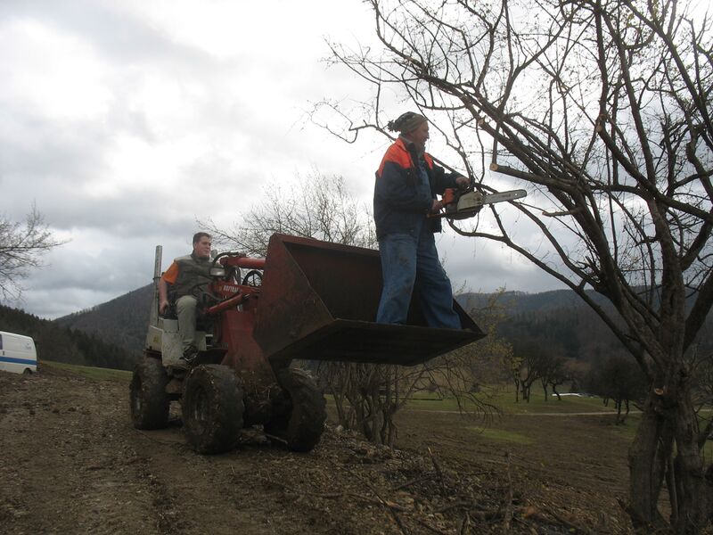 Datei:Dirndlschnoarten .JPG