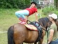 KS Brücke auf Pferd.jpg