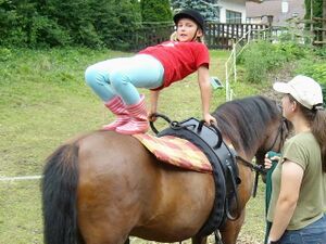 Bild:KS Brücke auf Pferd.jpg