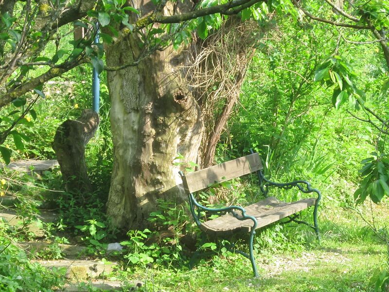 Datei:SG Südgartenbank1.jpg