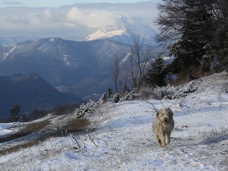 Eisenstein: Paula beim Ötscher-Blick