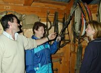 Blick nach Frankenfels