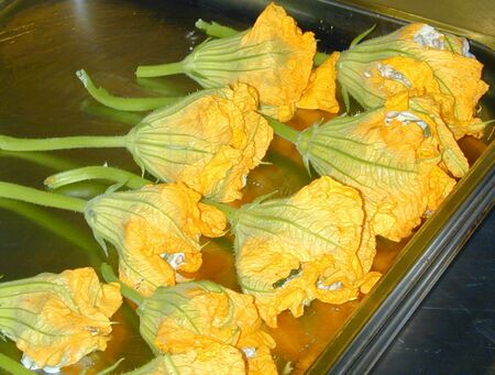 Steinschaler Blütenküche: gefüllte Zucchini-Blüten