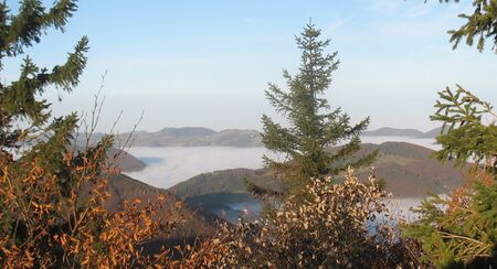 Nebelsee um den Sonnberg- Frankenfels