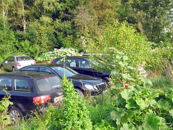 der grüne Parkplatz