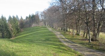 652 Nach Schwabeck-Kreuz - Blickrichtung Norden