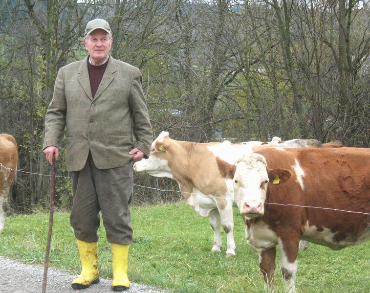 Datei:Ferdinand König.jpg