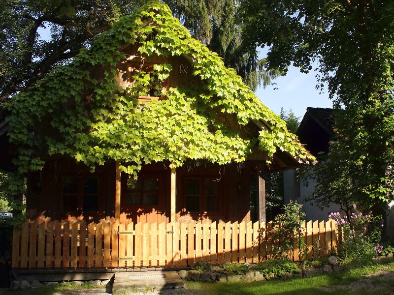 Datei:SH GH21 Zaun Hunde.jpg