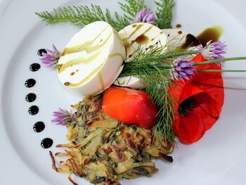 Schafkäse mit Wildkräutern ganiert