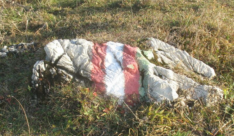 Datei:Markierung auf Eisenstein Weide.jpg