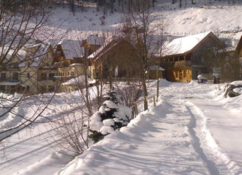 Winter Steinschaler Dörfl.jpg