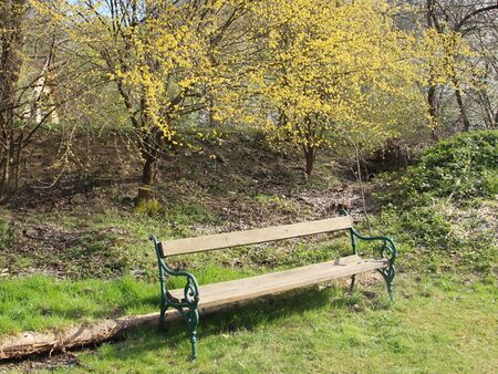 Dirndlblüte Teichweg