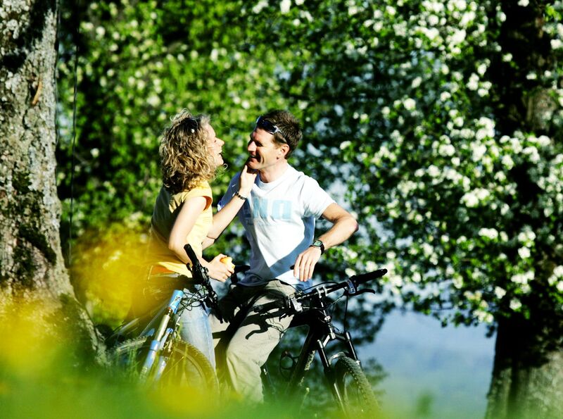 Datei:Päarchen Birnblüte WF.jpg