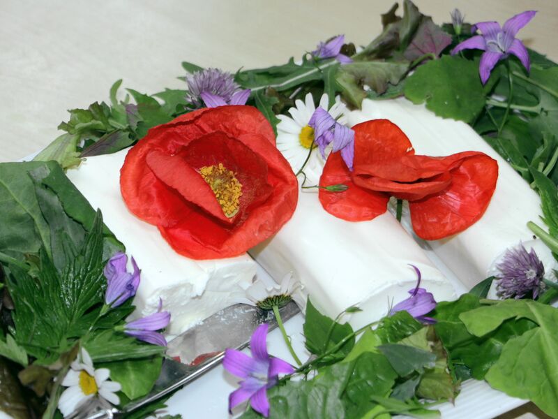 Datei:SK Mohnblüte auf Schafskäse.jpg