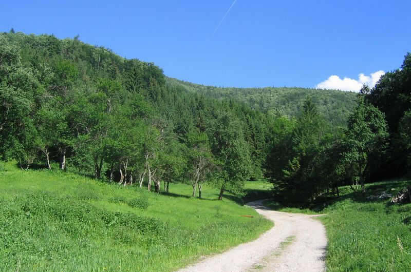 Datei:Erste Wüstung auf Eisenstein.jpg