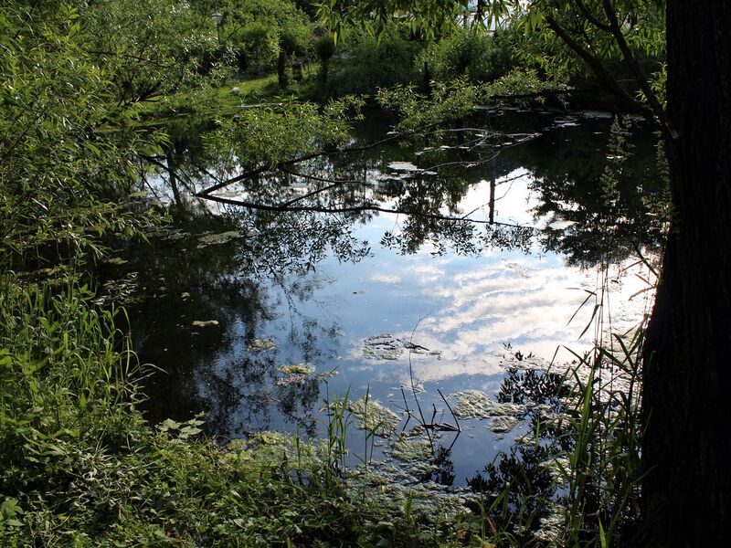 Datei:SG Teich Prodgarten5.jpg