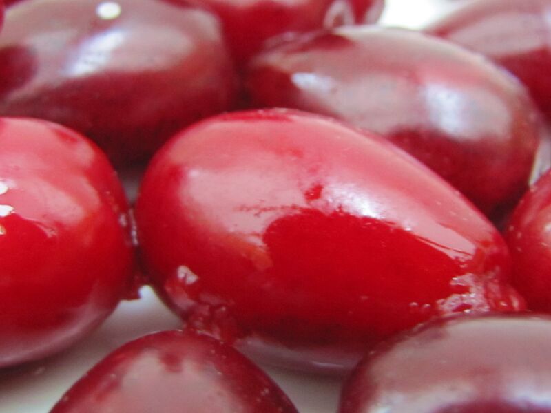 Datei:Jolico groß.jpg