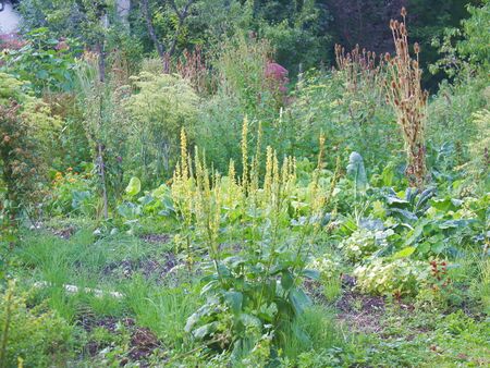 Naturgarten Vielfalt