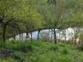 HKW Biotop1 Frühling.jpg