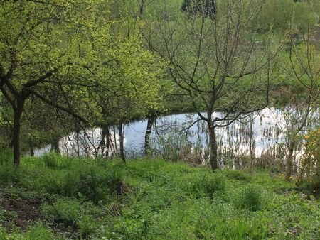 Biotop beimGästehaus Königswiese