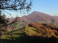 Herbstlicher Gaisbühel.jpg