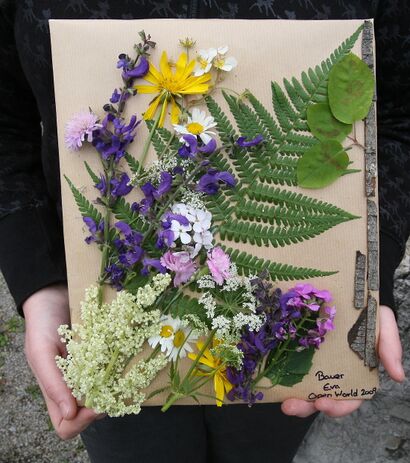 Naturbild bei Workshop Open World entstanden