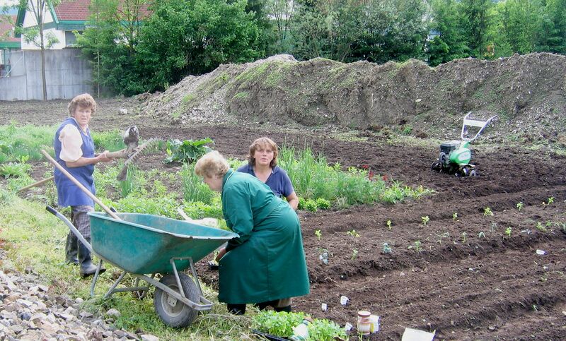 Datei:SG Neuanlage Pielachgarten 2009-1.jpg