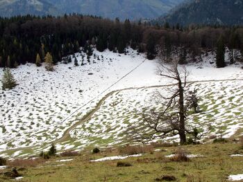 Eisnsteinalm - erster Schnee 2012