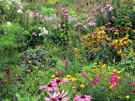 Blütenvielfalt im Sommer
