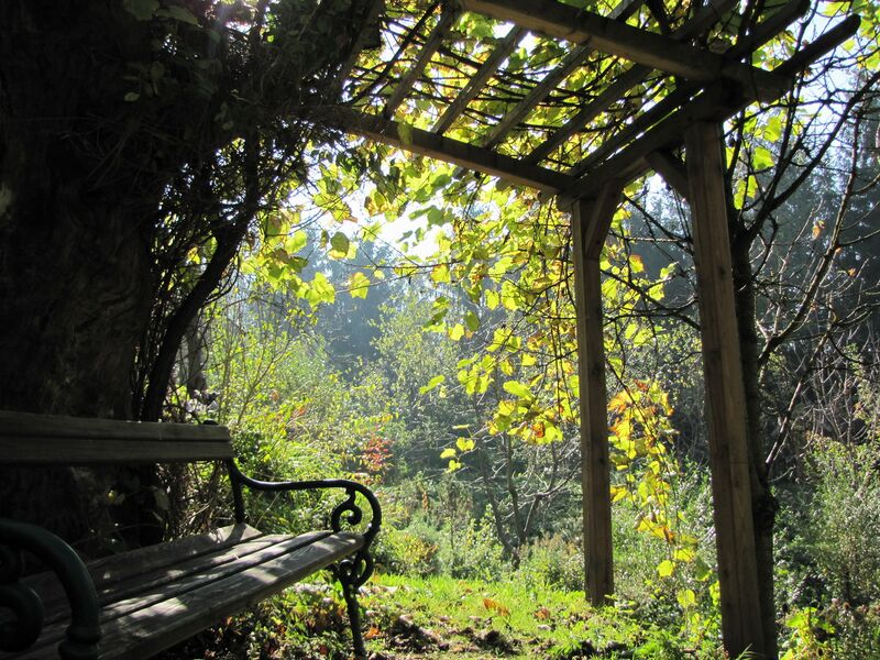 Datei:SH Südgartenlaube.jpg