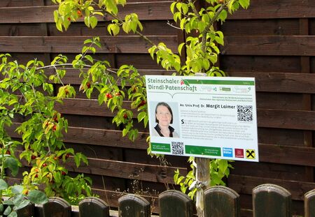 Prof Laimers Patendirndl am Bahnhof Steinschal