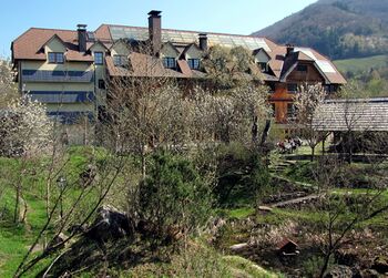 Photvoltaik und Thermosolar im Südgarten