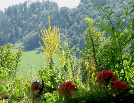 Blick aus Kellerstüberl