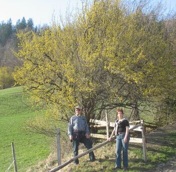 Blütenwanderung mit Gästen