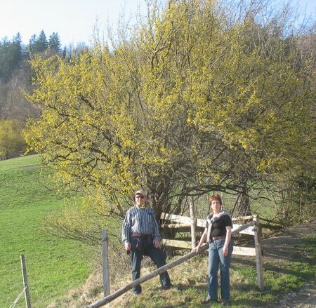 Blütenwanderung mit Gästen