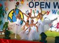 OPW2011 Ballett.jpg