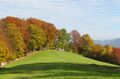 Herbst Reitbachwiese.jpg