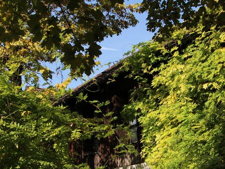 grün bewachsener Vierkanthof