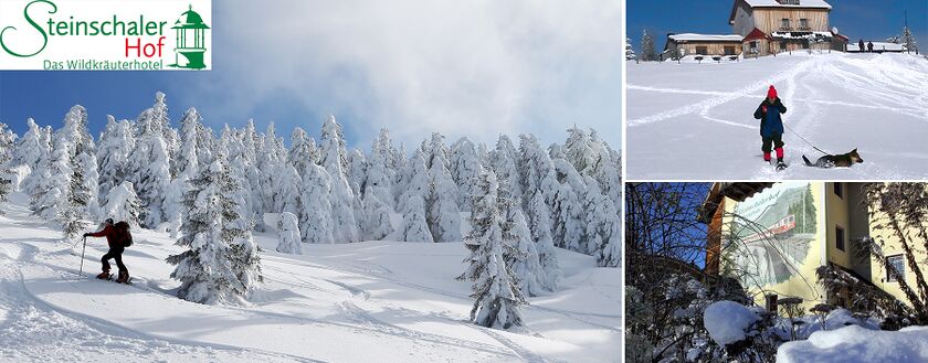Schneeschuhwandern - Header